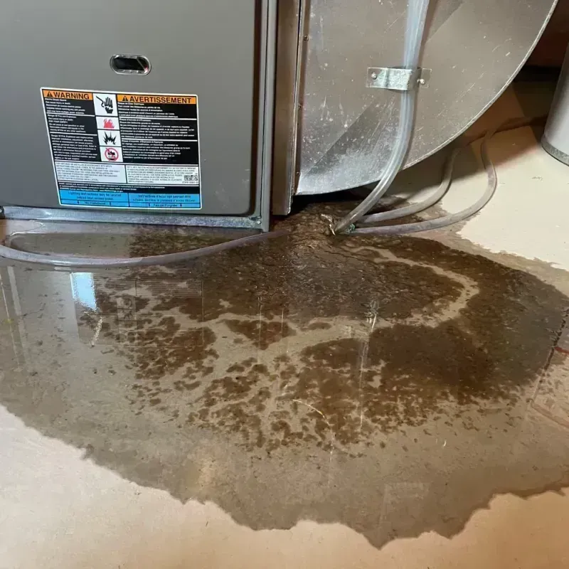 Appliance Leak Cleanup in Lake of the Woods, IL